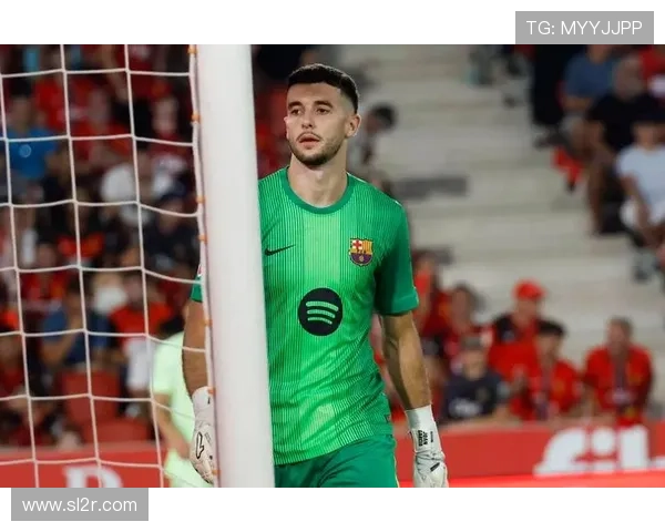 卡尼萨雷斯评巴萨后场松散现状